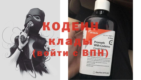 дживик Абаза