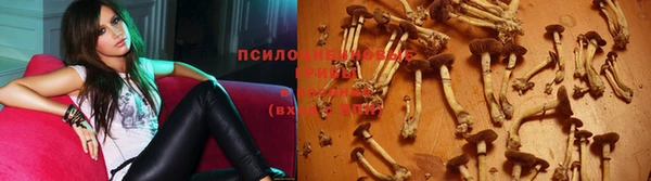 дживик Абаза
