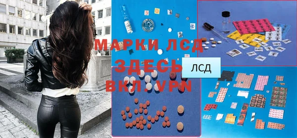 дживик Абаза