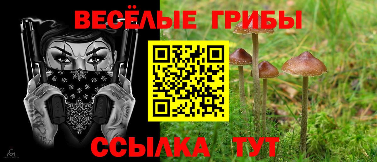 Галлюциногенные грибы GOLDEN TEACHER  Псилоцибиновые грибы мицелий  даркнет сайт  Вход с VPN  Владикавказ 